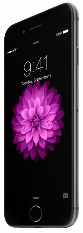 Apple iPhone 6 TD-LTE A1586 64GB